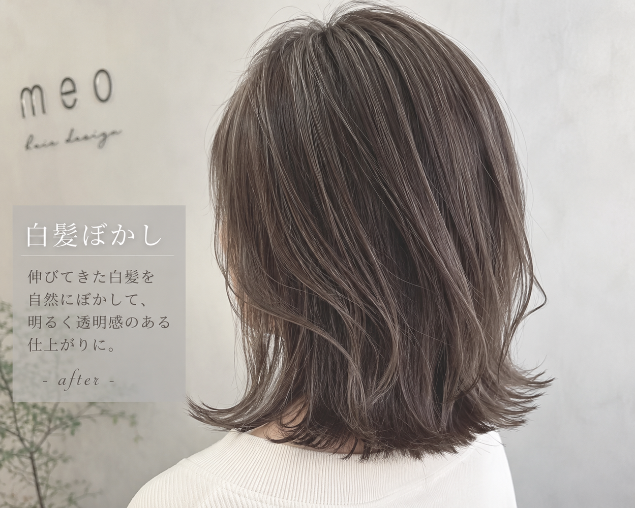 画像5363